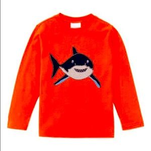 Hanna Andersson long sleeve shirt tee, Size 5